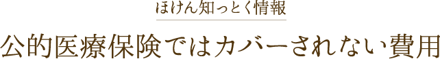 公的医療保険ではカバーされない費用