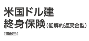 米国ドル建終身保険 低解約返戻金型