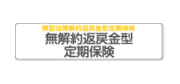 無解約返戻金型 定期保険