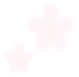 桜の花びら