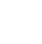 桜の花びら